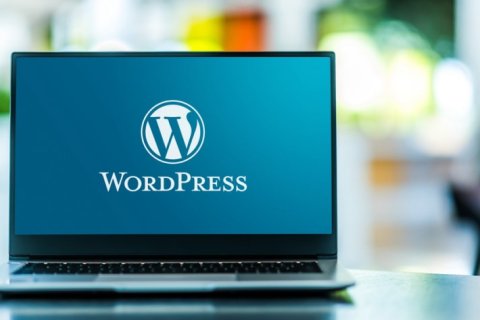 WordPress 6.1 增加了对 WP_Query 缓存改进性能