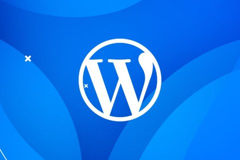 WordPress 6.1 新增 WP_List_Table::get_view