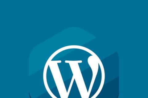 WordPress 替换后台插件安装列表的插件描述